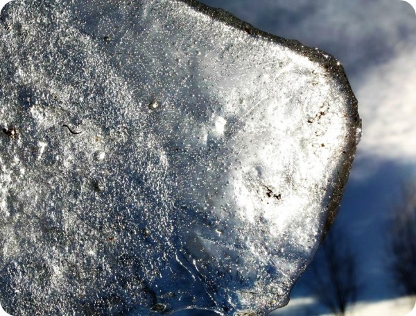 am_naturensegetkonstverk