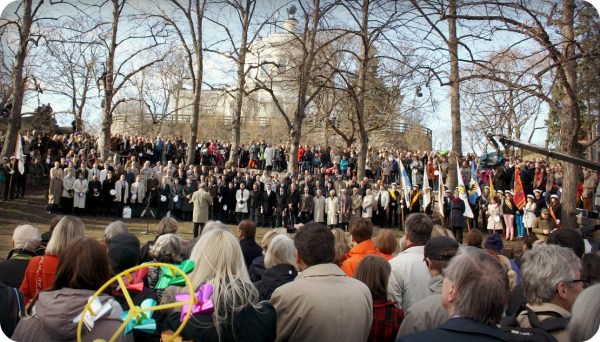 bjsjungervinternrasat