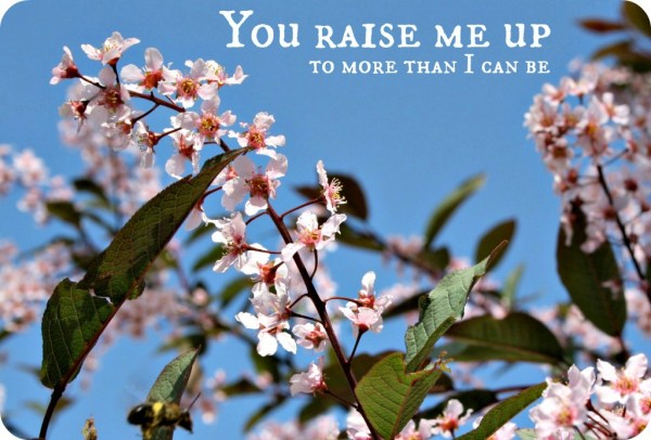 youraisemeup