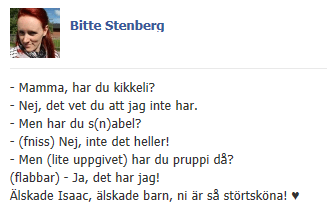 fb_status_20juli