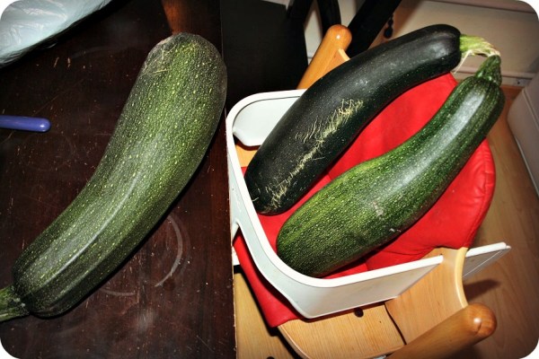 litezucchini