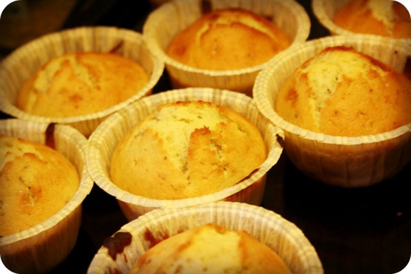 muffins