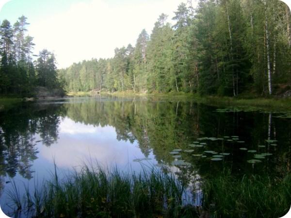 nuuksio1